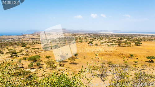 Image of Abjatta-Shalla national park