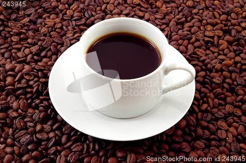 Image of Coffee on Beans