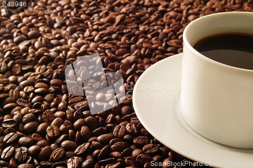 Image of Coffee on Beans