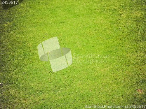 Image of Grass background
