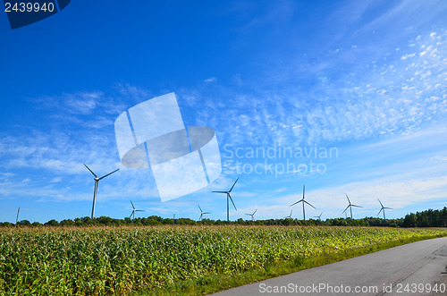 Image of Windfarm