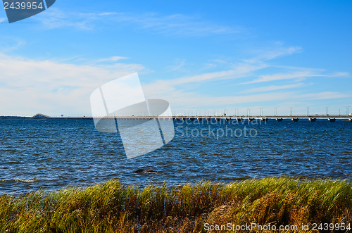 Image of Bridge at autumn