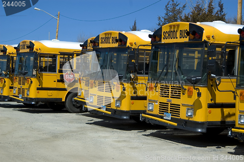 Image of School bus