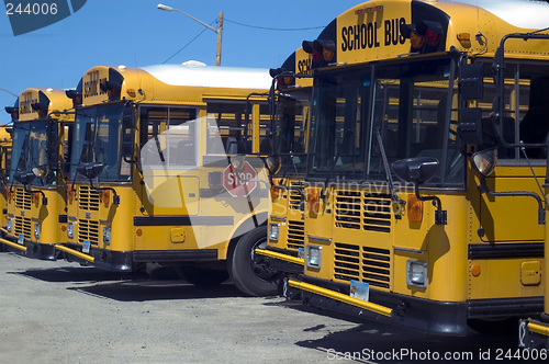 Image of School bus