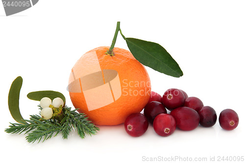 Image of Cranberry and Orange Fruit