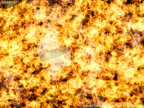 Image of Burning fire flame background