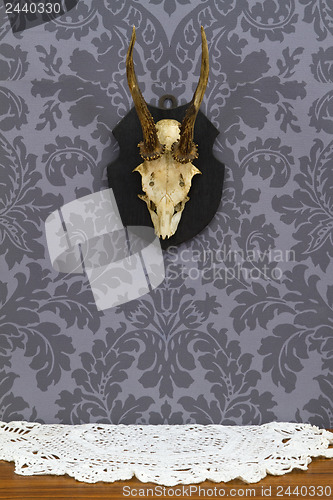 Image of Antlers over vintage taple cloth