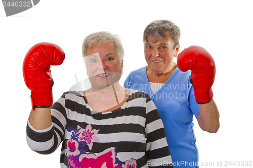 Image of Two female seniors with red boxing glove