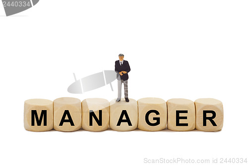 Image of Manager