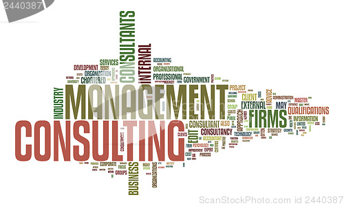 Image of management consulting text cloud