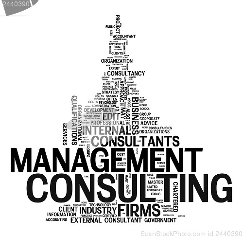 Image of management consulting text cloud