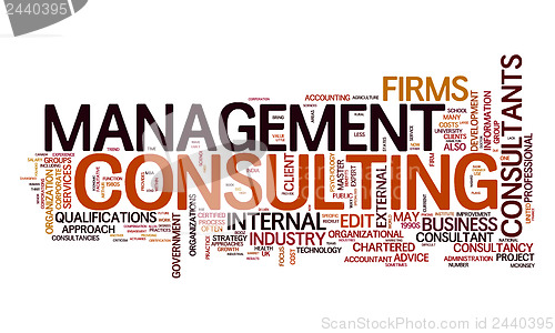 Image of management consulting text cloud