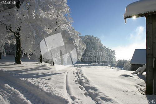 Image of winter