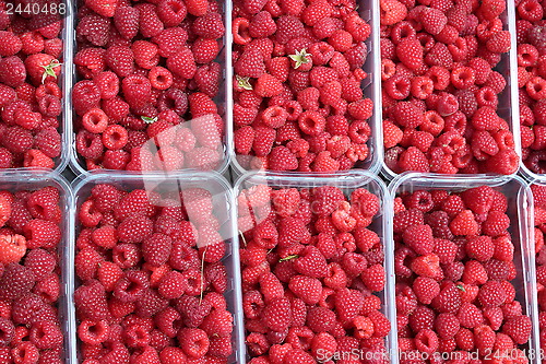 Image of red berries of raspberry