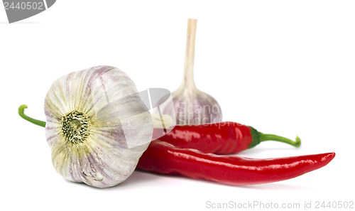 Image of Red pepper and garlic on white