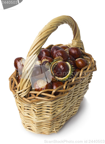 Image of Basket of chestnut on white