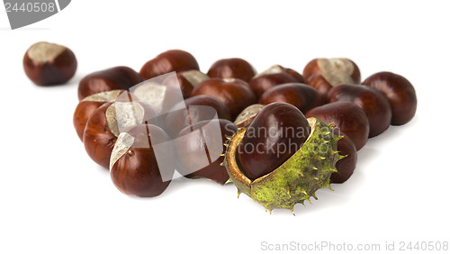 Image of Handful of Buckeyes on white