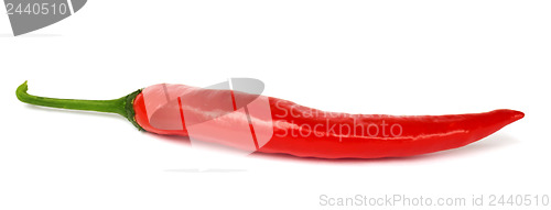 Image of One pod of hot pepper on a white 