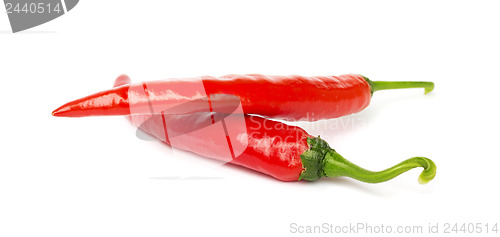 Image of Two pods of hot pepper on a white