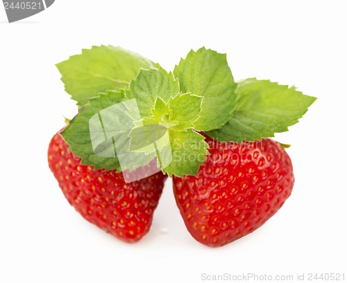 Image of Fresh strawberry, mint sheets