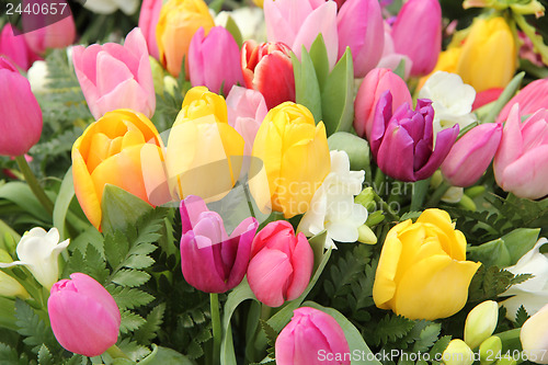 Image of Mixed tulip bouquet