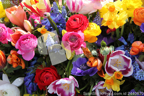 Image of Spring flowers in bright colors