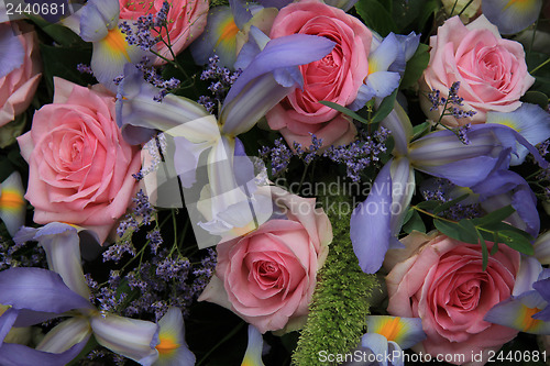 Image of Blue irises and pink roses in bridal arrangement