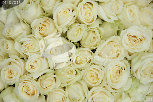 Image of Group of white weddingflowers