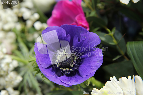 Image of Anemones in bridal arrangement