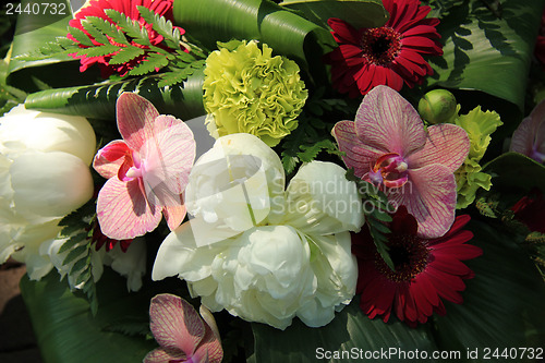 Image of Orchids and peonies in a bridal arrangement