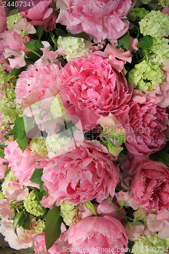 Image of Peonies in a bridal arrangement