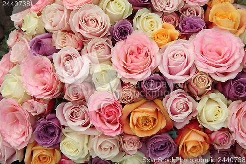 Image of Pastel wedding roses