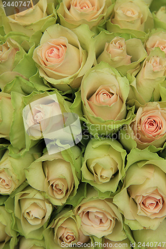 Image of Pale pink roses in a wedding arrangement