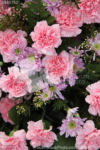 Image of Carnations and mums