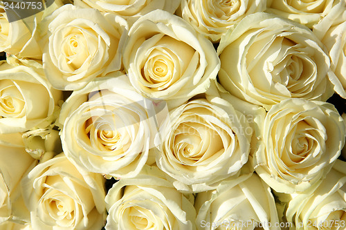 Image of Group of white roses in floral wedding decorations