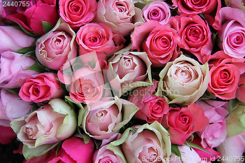 Image of Pink wedding roses