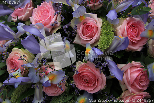 Image of Blue irises and pink roses in bridal arrangement