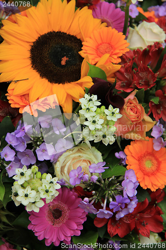 Image of Colorful summer bouquet