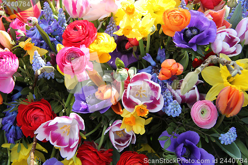 Image of Spring flowers in bright colors