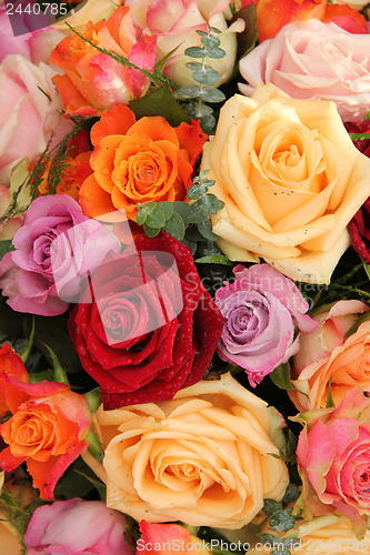 Image of Colorful rose bouquet