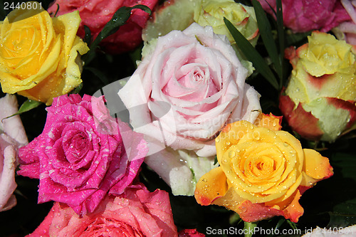 Image of Multicolored rose bouquet