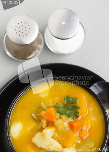 Image of Hearty Vegetable Soup