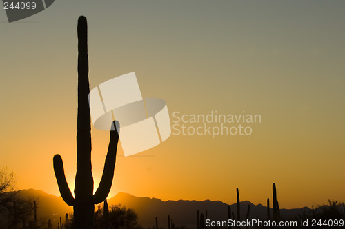 Image of Sunset in Arizona