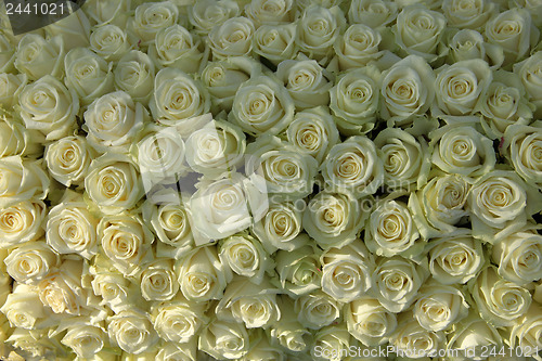 Image of Group of white roses, wedding decorations