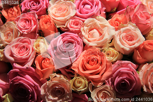 Image of Roses in different shades of pink, wedding arrangement