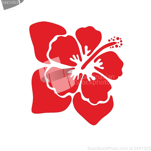 Image of Vector illustration of hibiscus flower