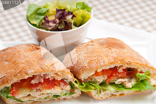 Image of ciabatta panini sandwich with chicken and tomato