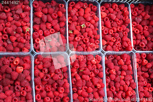 Image of red berries of raspberry