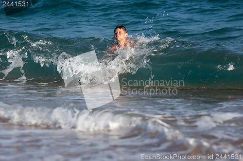 Image of Happy in the sea