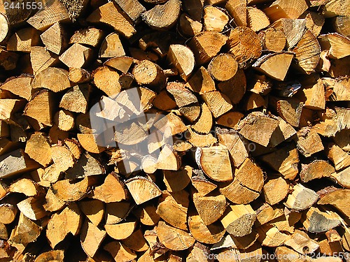 Image of Heap of the prepared fire wood